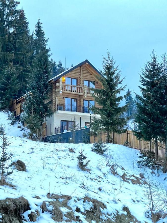 Colibiţa Chalet Du Lac מראה חיצוני תמונה